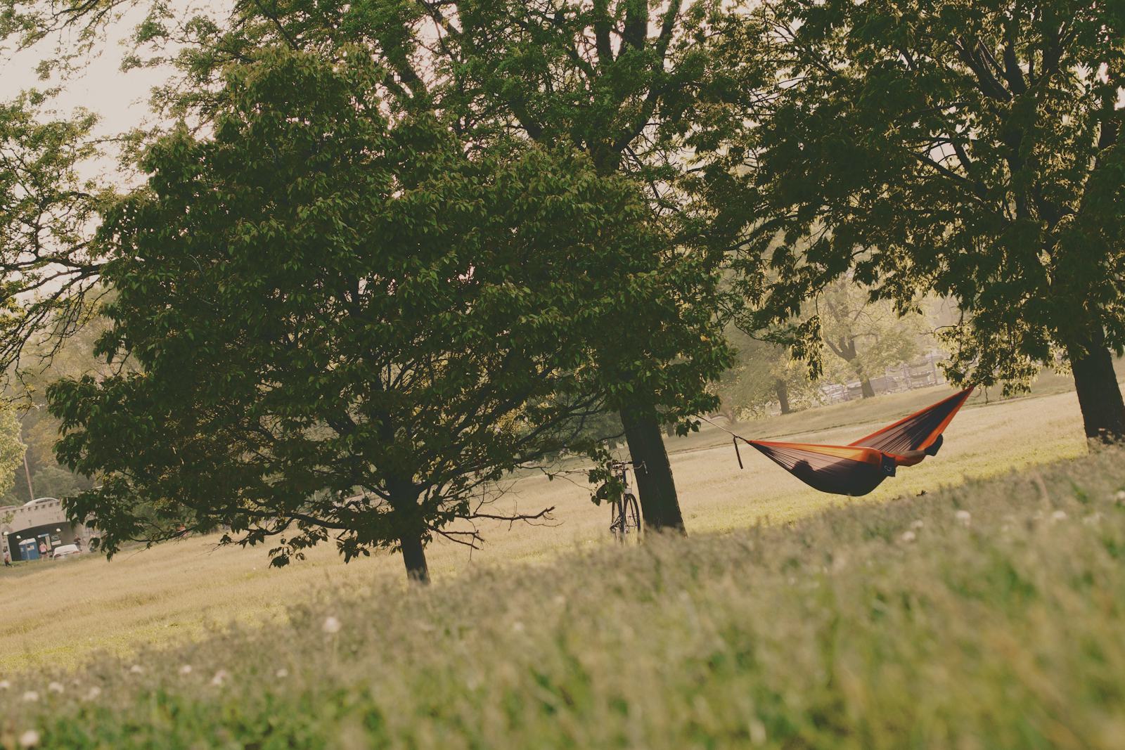 A person resting in a hammock between trees in a grassy park