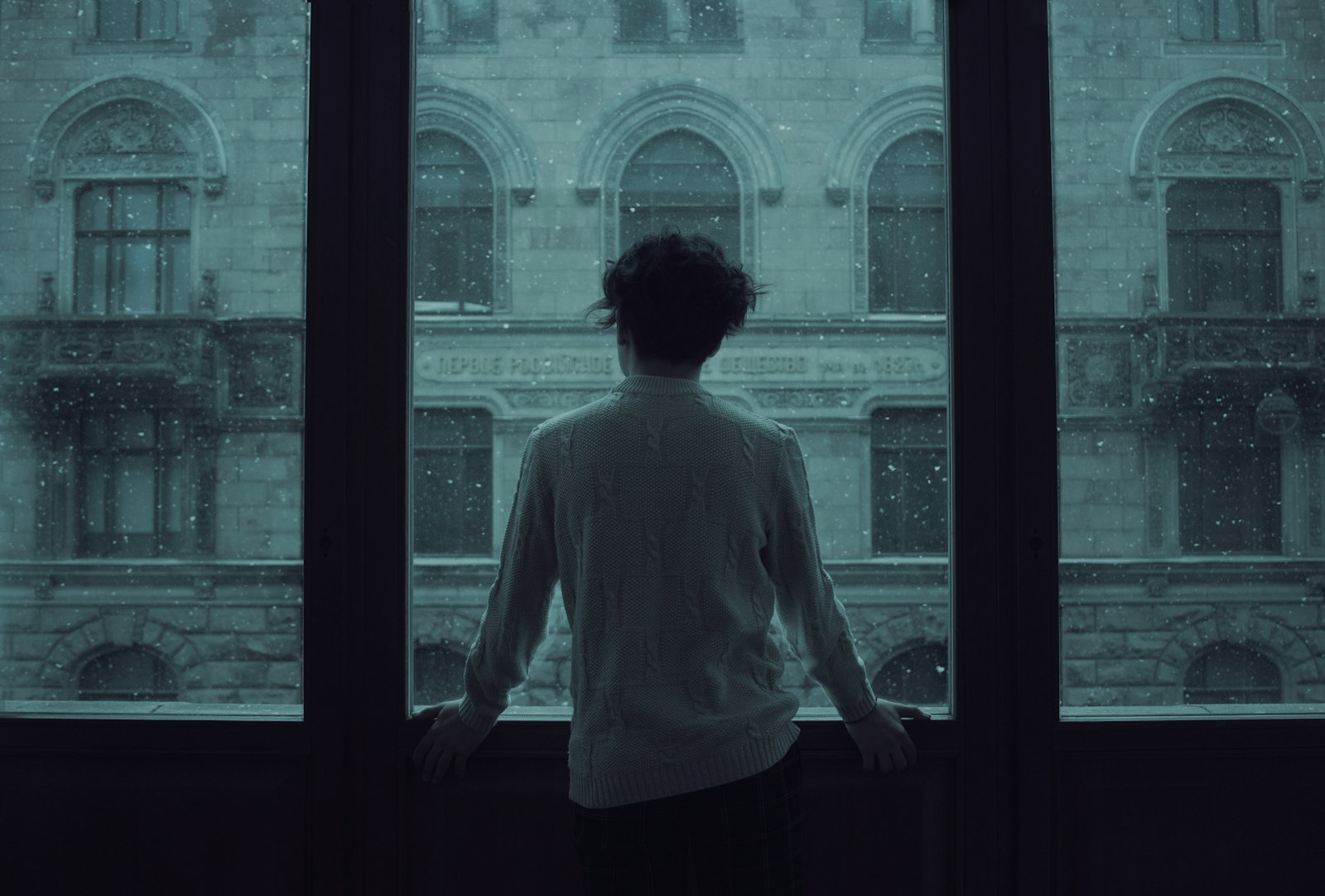 A person seen from behind at a tall window, watching snow fall